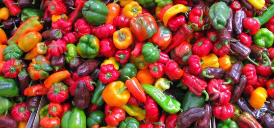 Image of Multi-colour Healthy Veggies